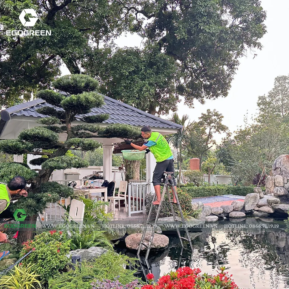 Kết hợp hồ cá và hòn non bộ để kích hoạt vượng khí.